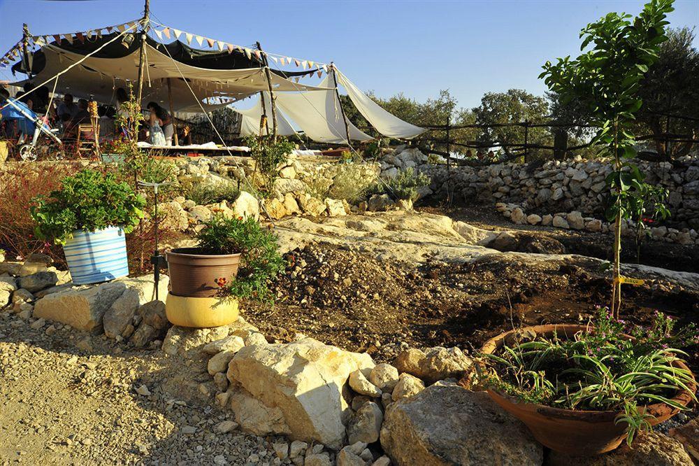 Galilee Bedouin Camplodge Tabash Экстерьер фото